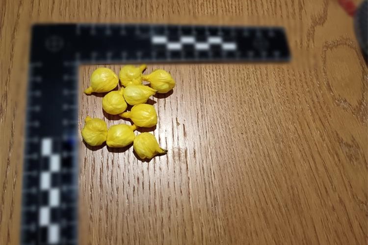Završio u istražnom zatvoru zbog neovlaštene proizvodnje i prometa droga